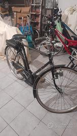 Bianchi extra lusso con mosquito 