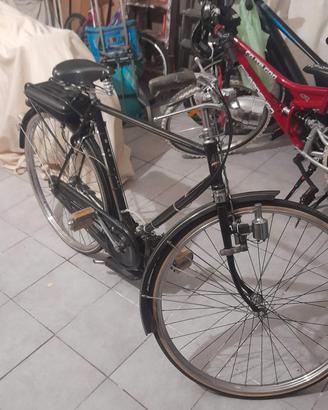 Bianchi extra lusso con mosquito 