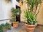 Immagine 20