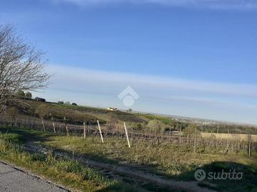 TER. AGRICOLO A CASTEL BOLOGNESE