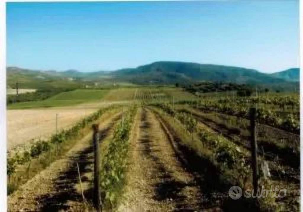 Immobile in asta di 356829 m² a Mazzarino - Vista 4