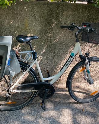 City bike Pegasus