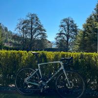 S-works tarmac SL7 - taglia 58