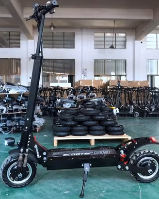 MONOPATTINO ELETTRICO IX5S 1000 WATT CON GARANZIA