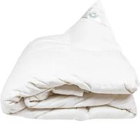 Piumino
Sestriere
Medium
3
punti
 100% oca