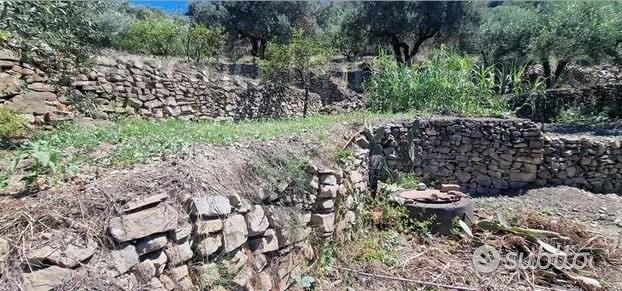 Terreno 10.000mq con rustici a Calatabiano - Vista 2
