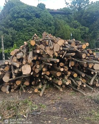 Legna da ardere zona udine