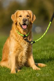 Guinzaglio in corda rinforzata per cani – NUOVO