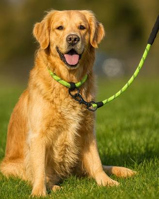 Guinzaglio in corda rinforzata per cani – NUOVO