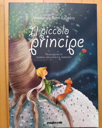 Il piccolo principe 