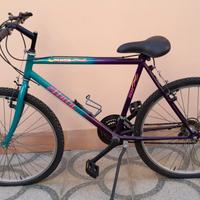 Bicicletta Mountain Bike Atala Flyer