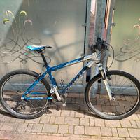 MTB  Giant  ruote da 26