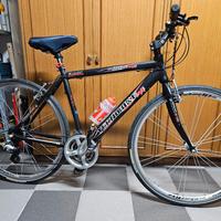 Bicicletta tecnobike mustang 