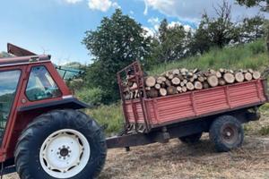 carrello agricolo ribaltabile 