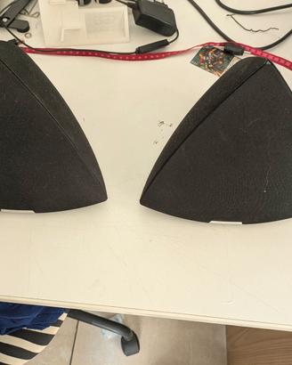 Bang & Olufsen BeoLab 4 coppia funzionanti