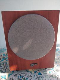 Subwoofer amplificato Audio Pro