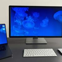 Monitor Dell P2815Q 28" 4K Ultra HD