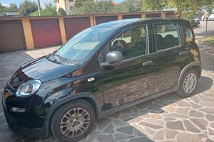 Fiat Panda MY 23 Hybrid anche neopatentati