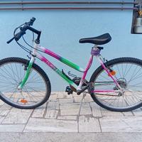 Bicicletta Mountain bike Tornado