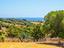 Immagine 19