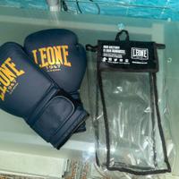 Boxe leone