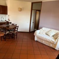 Luminoso appartamento