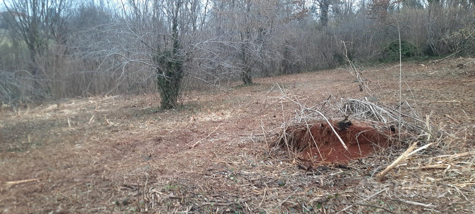Terreno agricolo - Vista 3