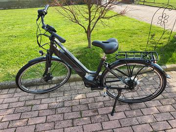 Ebike Torpado Era T211 n.28
