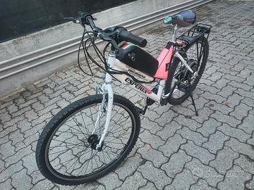 bici e-bike MTB elettrica Esperia 