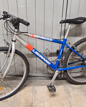 BICICLETTA