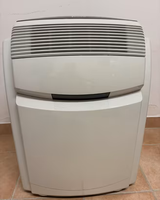 Pinguino condizionatore Delonghi pac 45 eco