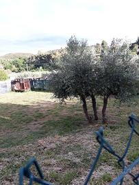 Piccolo appezzamento di tereno