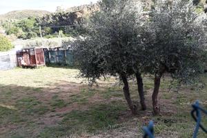 Piccolo appezzamento di tereno