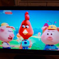 Tv e monitor pc Samsung 23 pollici HD  P2370HD