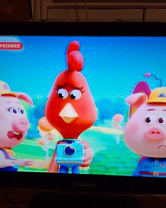 Tv e monitor pc Samsung 23 pollici HD  P2370HD