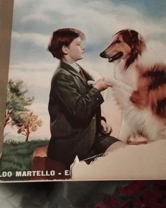 torna a casa lassie