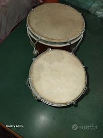 Bongo doppio 
