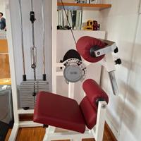Lower Back Technogym usato