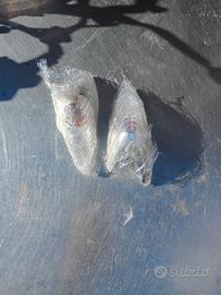 Frecce beverly 300 anteriori 2010