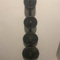 DISCHI IN GHISA PALESTRA DOMYOS