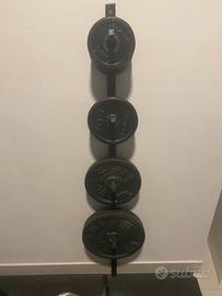 DISCHI IN GHISA PALESTRA DOMYOS