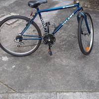MTB bicicletta da mare