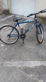 MTB bicicletta da mare