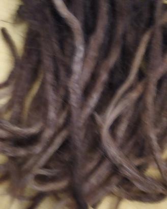 Ciocche capelli dreads