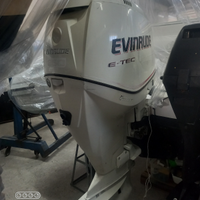 Evinrude E-tec 250