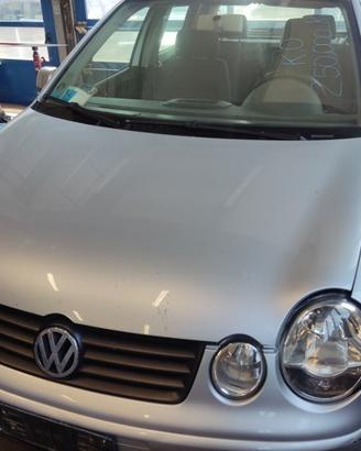 Cofano VOLKSWAGEN POLO del 2004