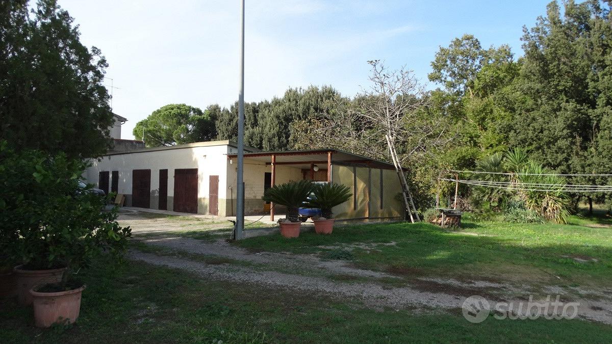 Terreno Agricolo Grosseto [Cod. rif 3102120VCG] - Altro