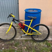 Bicicletta