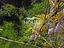 Immagine 26