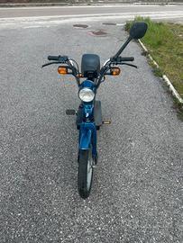Piaggio grillo